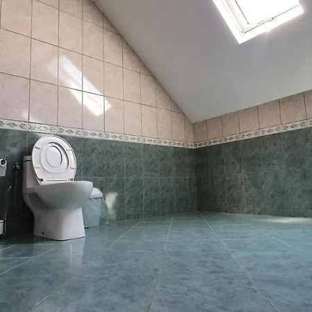 Guest house Vasile *