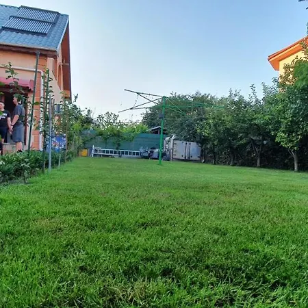 Guest house Vasile
