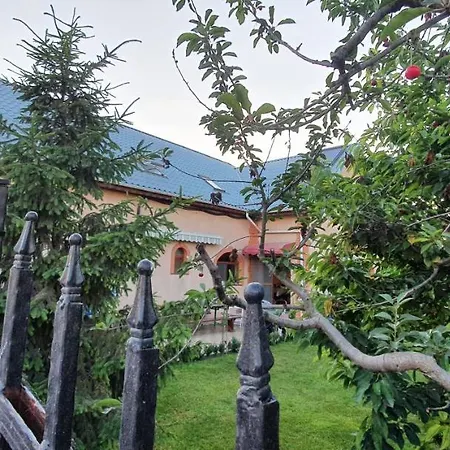 Guest house Vasile *