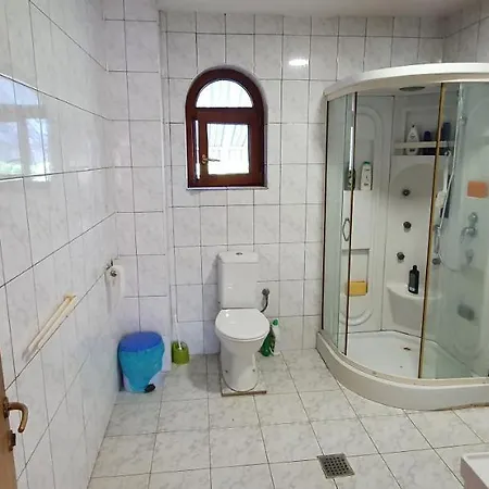 Vasile Guest house *