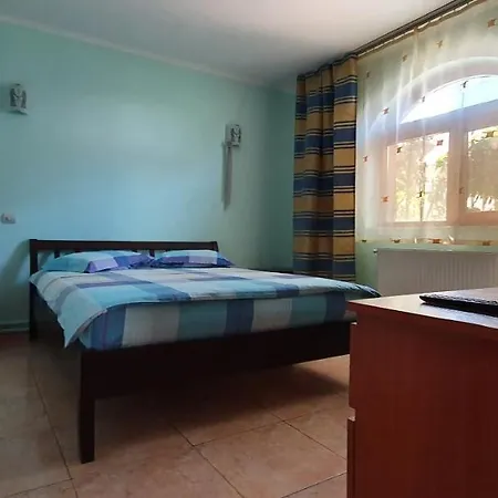 Guest house Vasile *