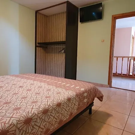 Vasile Guest house