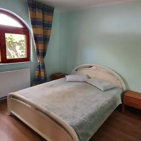 Vasile Guest house *