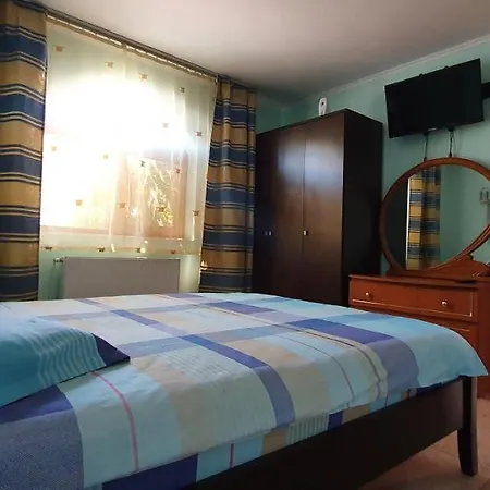 Vasile Guest house *