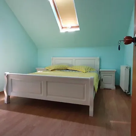 Guest house Vasile *
