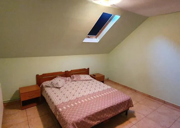 Pensjonat Vasile Năvodari