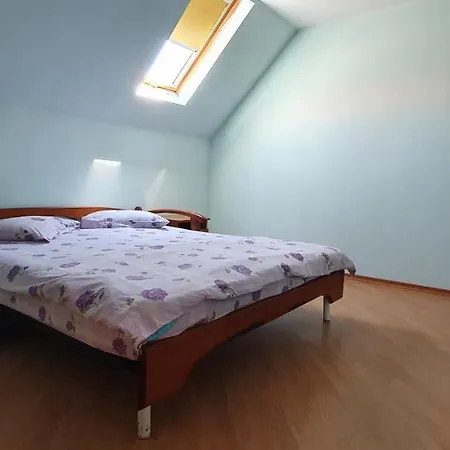 Pensiune Vasile *